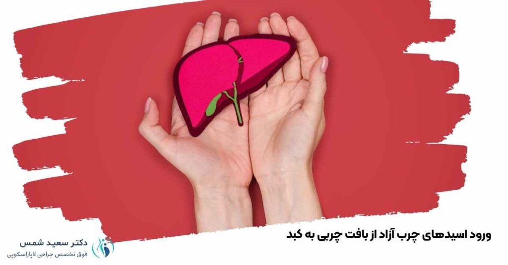 ورود بافت چربی به کبد