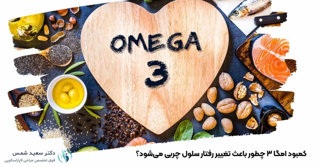 کمبود امگا ۳ و تغییر رفتار سلول چربی