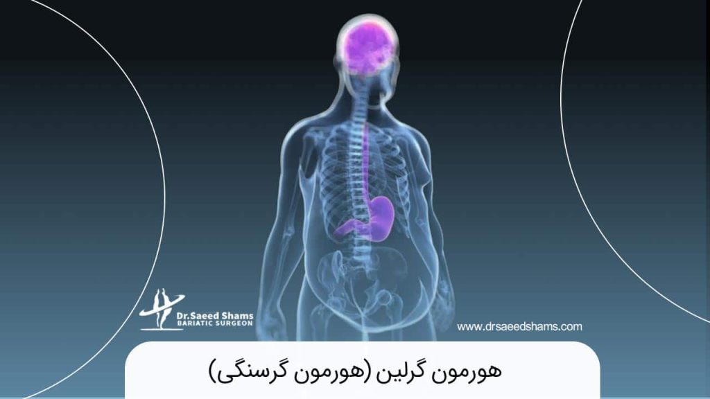 هورمون گرلین چیست؟ و چه تاثیراتی بر بدن دارد