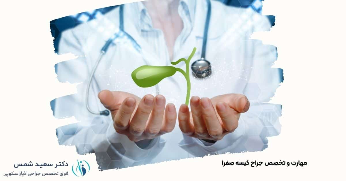 تصویری از جراح کیسه صفرا در حال بررسی سوابق پزشکی بیمار- دکتر شمس