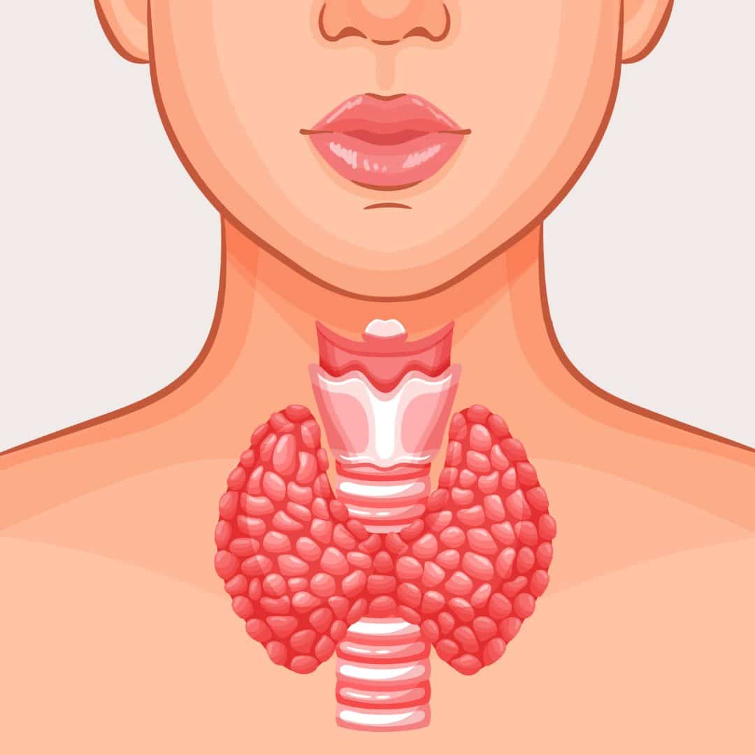 جراحی تیرویید