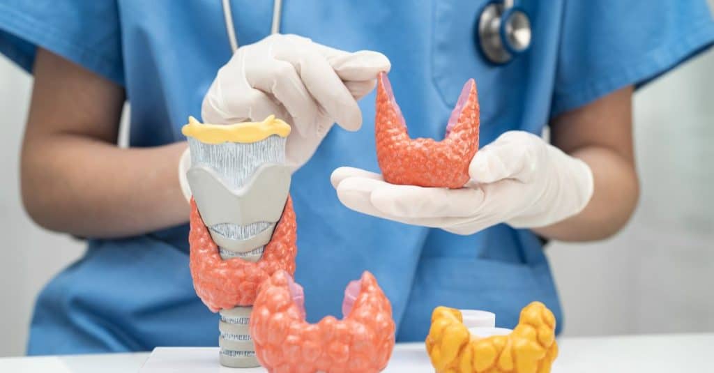 راهنمای تفسیر آزمایش تیروئید