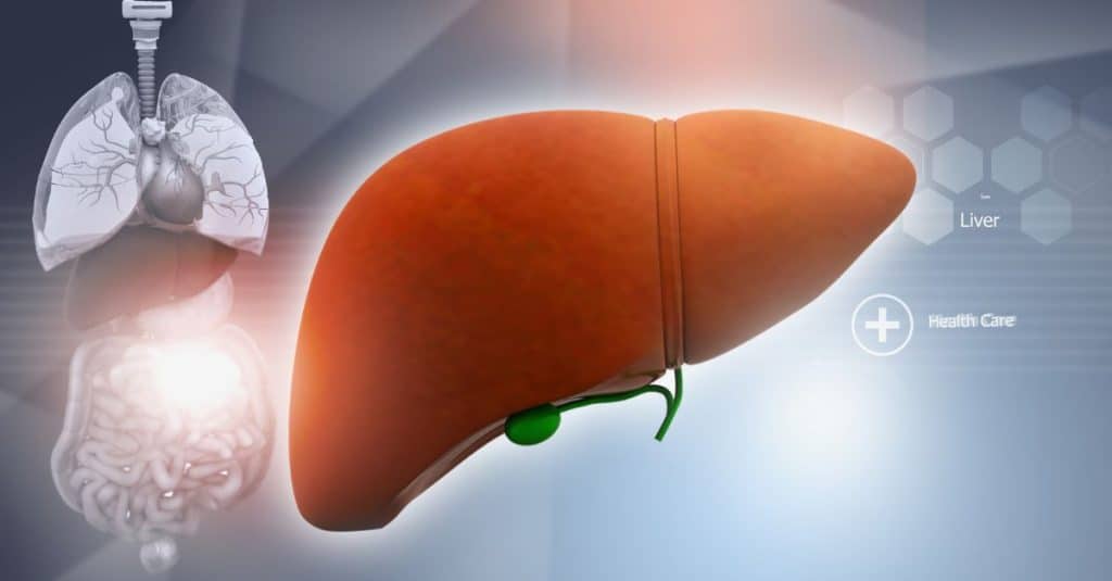 چرا چاقی باعث کبد چرب می‌شود