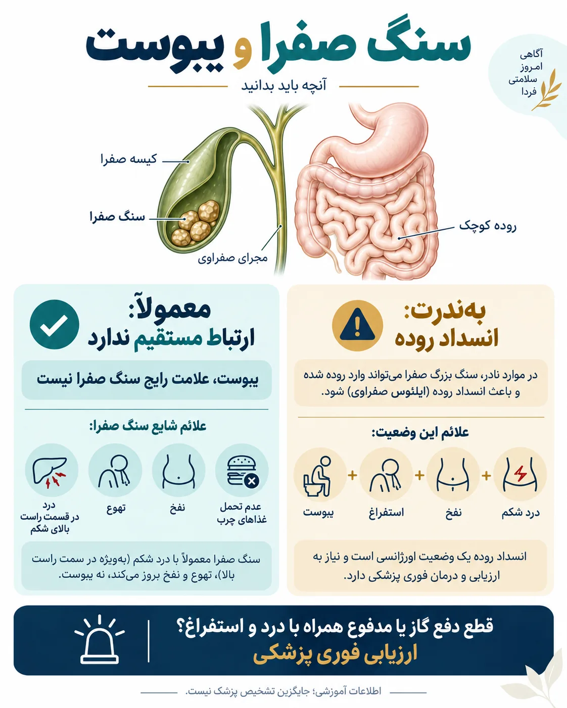 اینفوگرافیک سنگ صفرا و یبوست؛ تفاوت علائم معمول با انسداد نادر روده