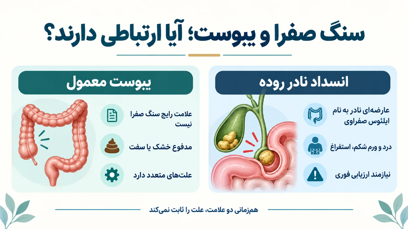 اینفوگرافیک علائم هشدار انسداد روده در کنار یبوست و سنگ صفرا